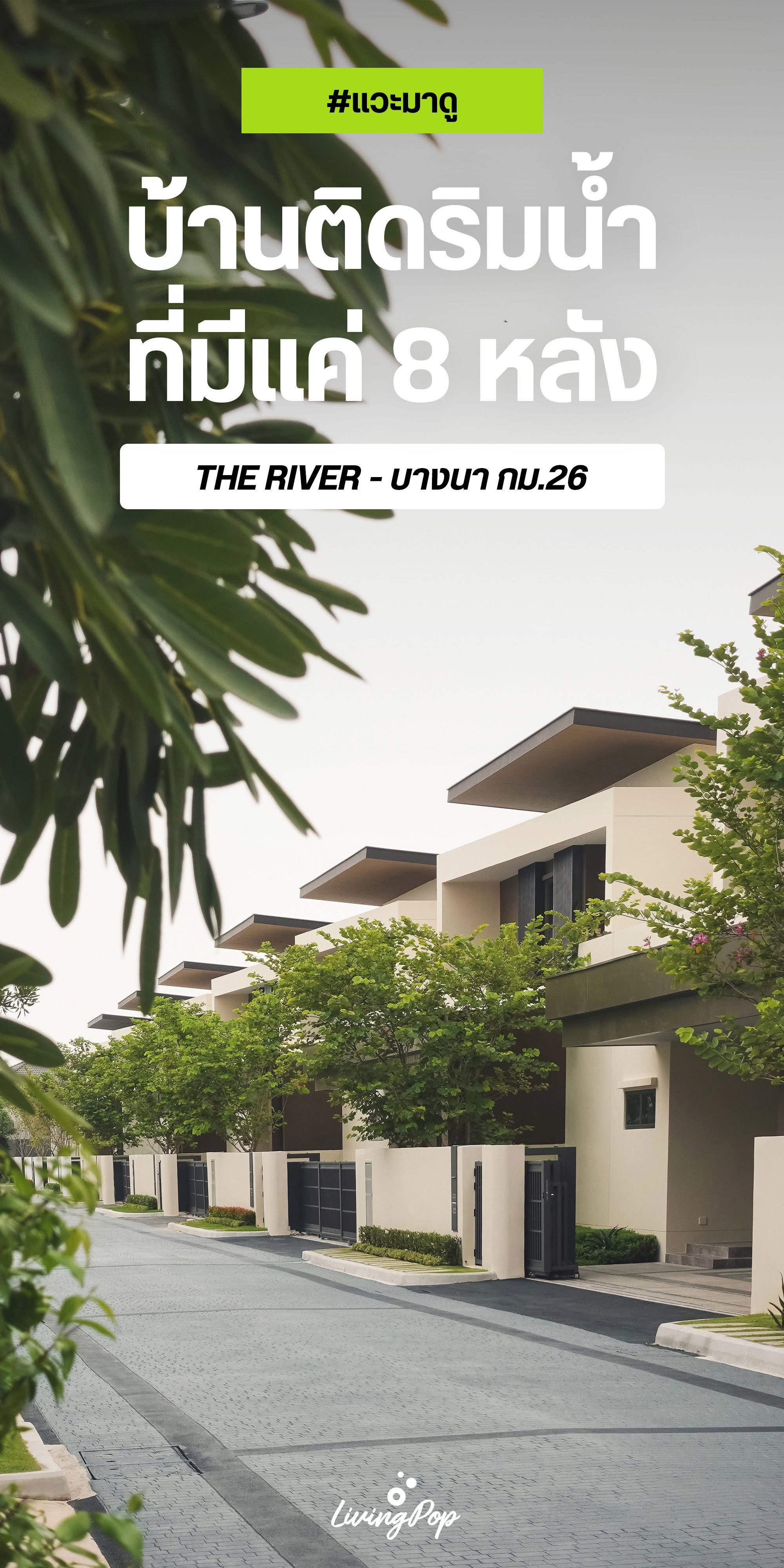 The River บางนา กม.26 บ้านติดริมน้ำ มีแค่ 8 หลัง