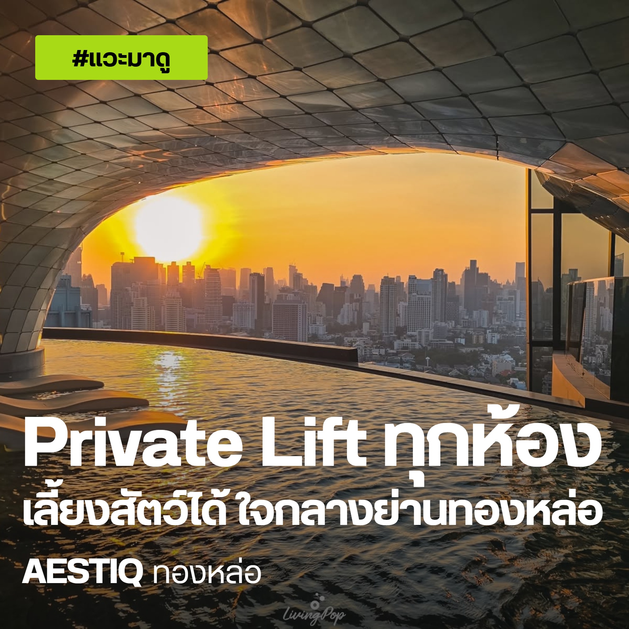Aestiq ทองหล่อ ปกแวะมาดู Private Lift ทุกห้อง เลี้ยงสัตว์ได้ ใจกลางย่านทองหล่อ