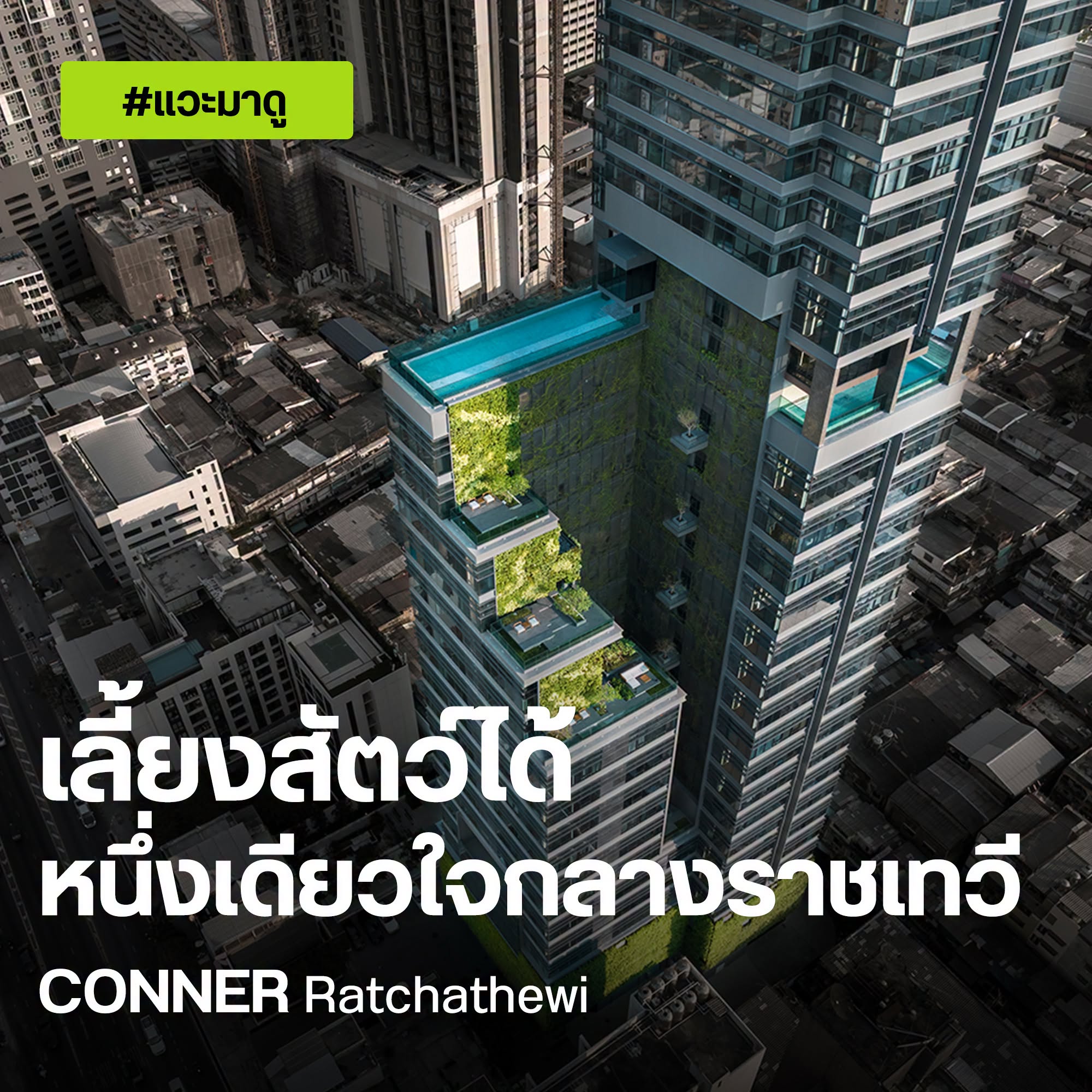 CONNER Ratchathewi คอนโดเลี้ยงสัตว์ได้ใจกลางราชเทวี