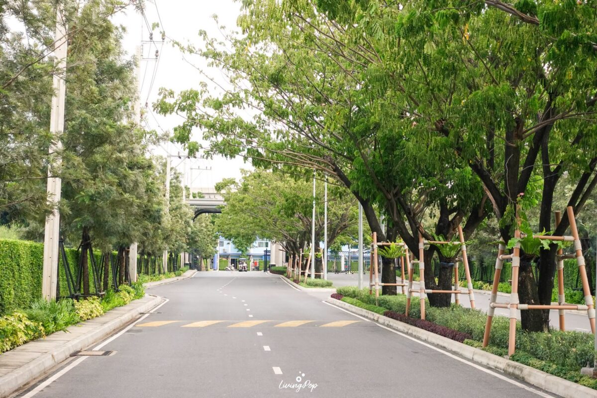 เศรษฐสิริ เกรท ดอนเมือง ถนนในโครงการร่มรื่น