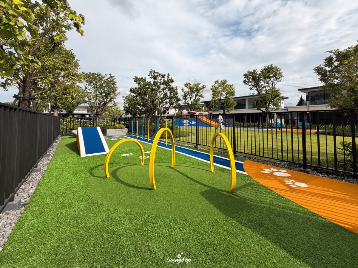 เศรษฐสิริ เกรท ดอนเมือง Pet Park สำหรับสัตว์เลี้ยง