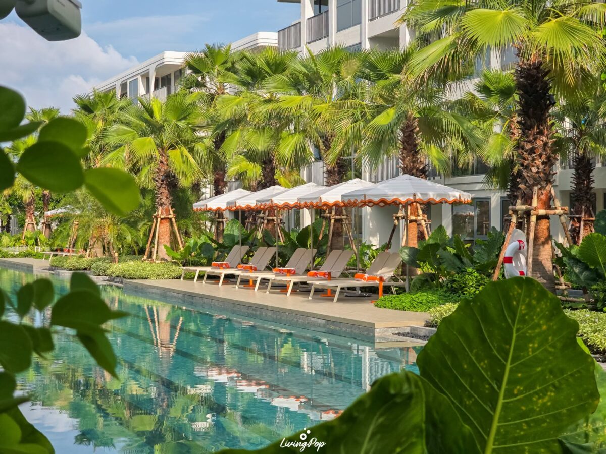 The Standard Residences หัวหิน สระว่ายน้ำและ Daybed ริมสระ