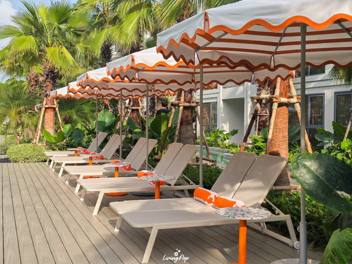 The Standard Residences หัวหิน Daybed ธีมสีส้มริมสระ
