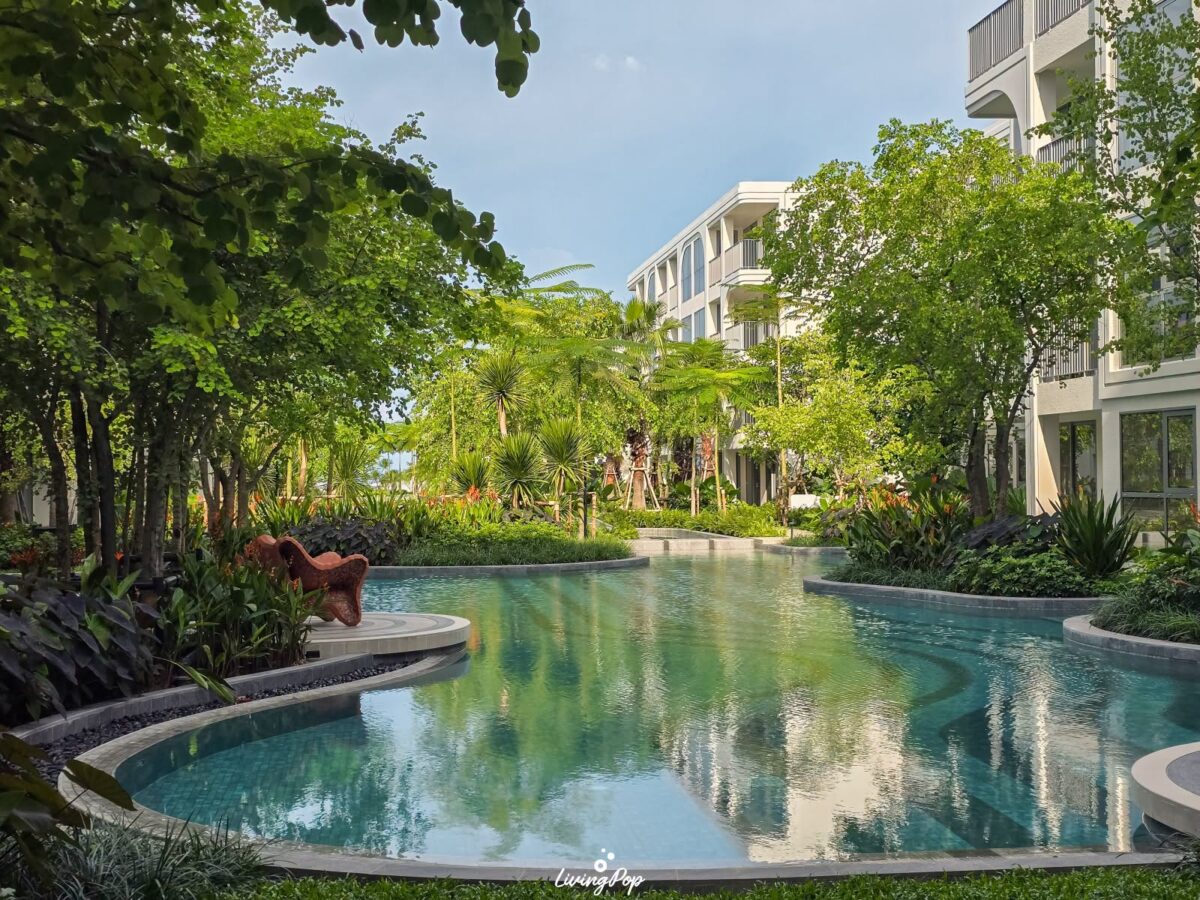 The Standard Residences หัวหิน สระว่ายน้ำท่ามกลางต้นไม้